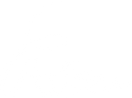 Aviom
